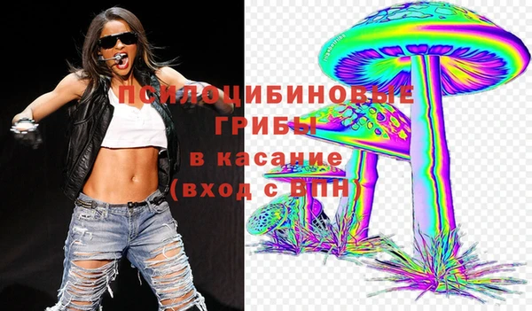 твердый Бородино