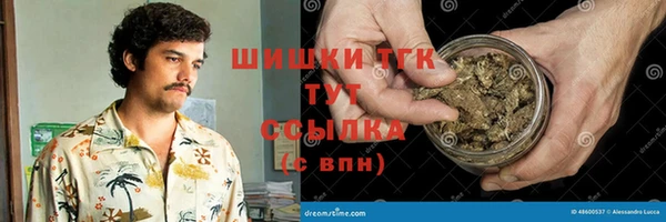 твердый Бородино