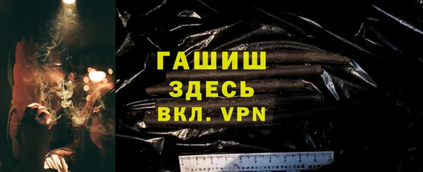 твердый Бородино