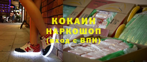 твердый Бородино