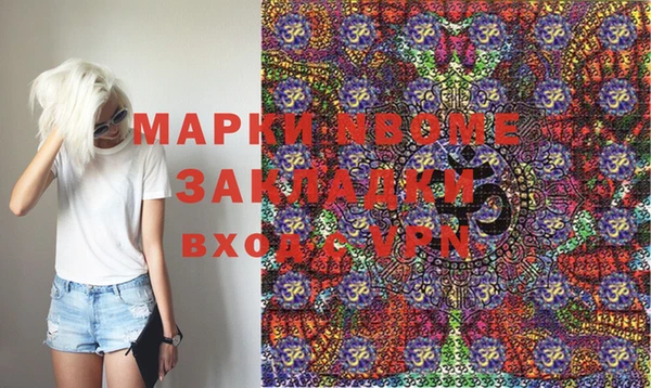 твердый Бородино