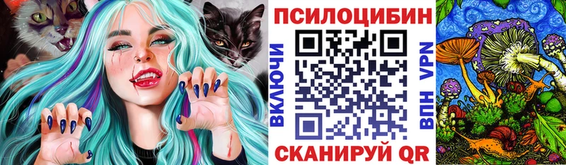 Псилоцибиновые грибы Psilocybine cubensis  Ельня 